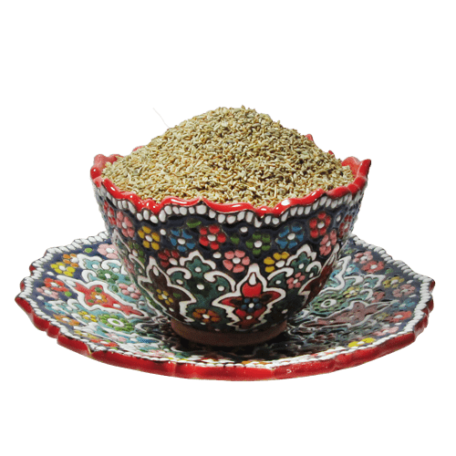 بذر جعفری