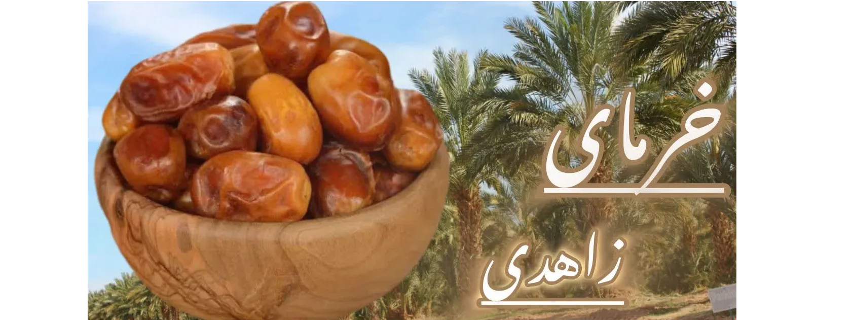 اسلایدر اول