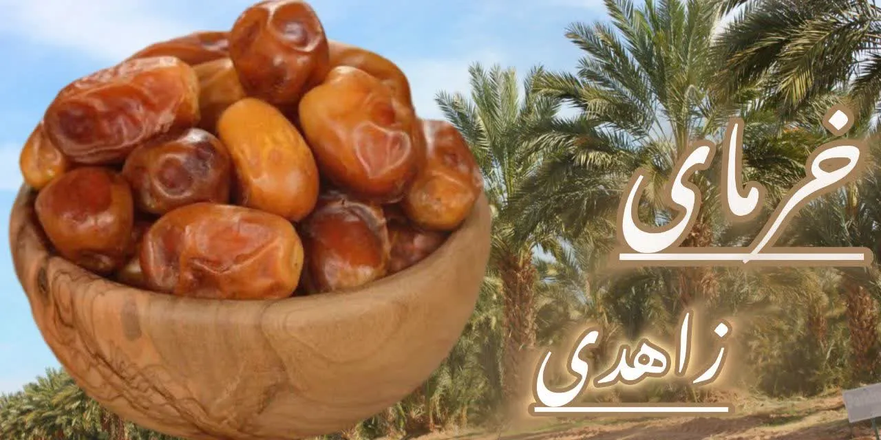 اسلایدر اول