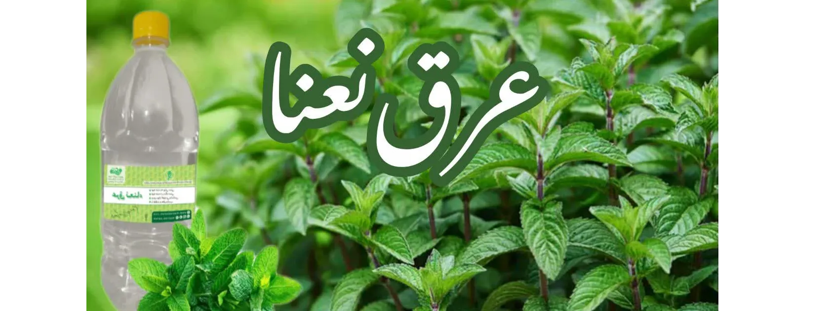اسلایدر اول