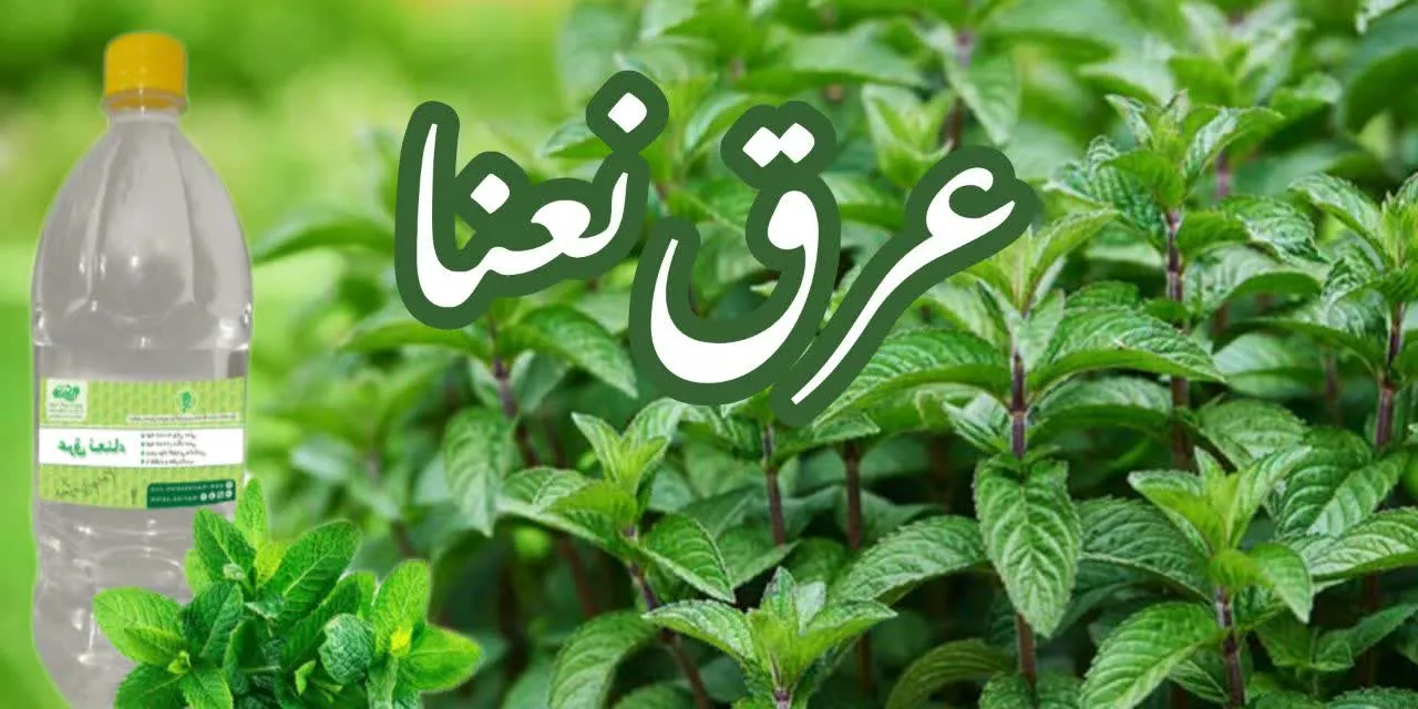 اسلایدر اول