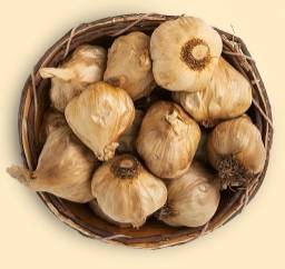حبه سیر سیاه ایران‌گیاه