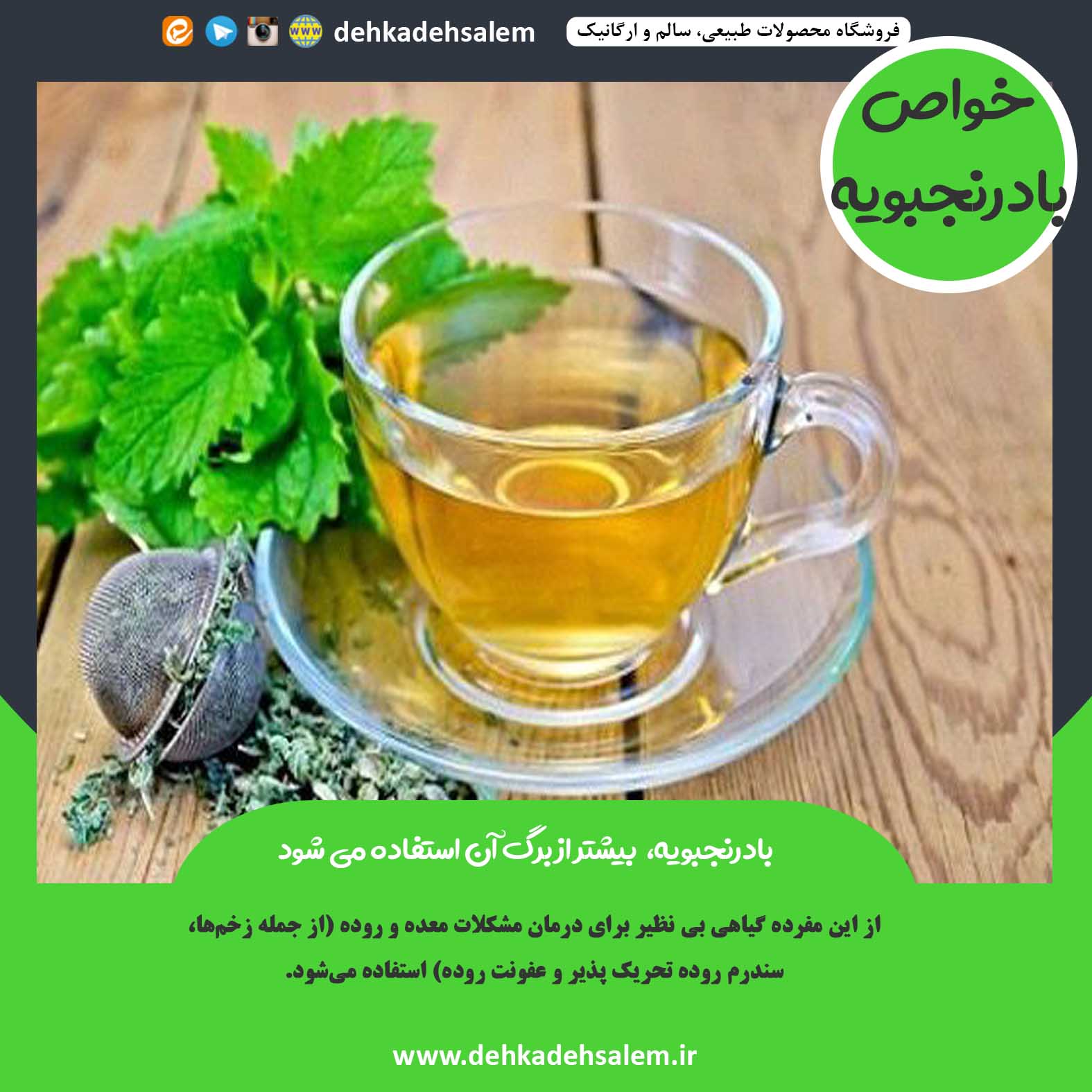 بادرنجبویه،  بیشتر از برگ آن استفاده می شود