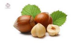 فندق رحیق