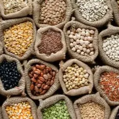 حبوبات { البقولیات }